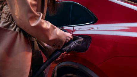 Vue d'ensemble des types de fiches pour véhicules électriques